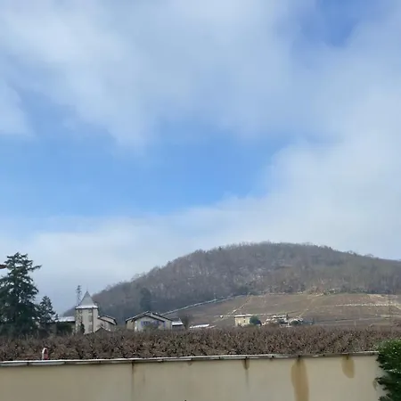 Le Bouchon De Liege