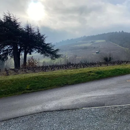 Le Bouchon De Liege * Beaujeu (Rhone)