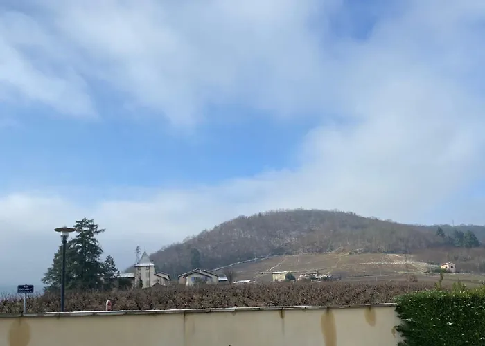 Le Bouchon De Liege