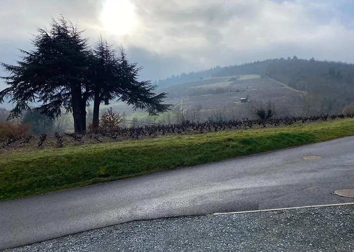 Le Bouchon De Liege * Beaujeu