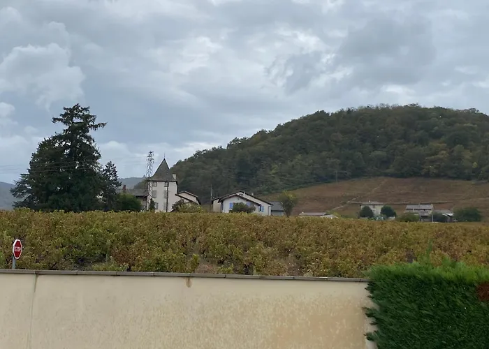 Le Bouchon De Liège Beaujeu (Rhone)